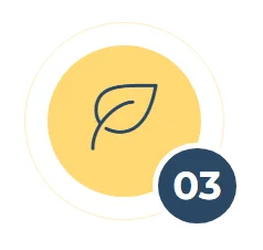 Fast Junk Removal Service